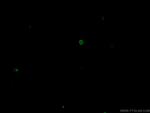 CD4 Antibody in Immunocytochemistry (ICC/IF)
