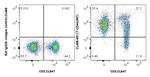 CD44 Antibody in Flow Cytometry (Flow)