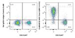 MHC Class II (I-A/I-E) Antibody in Flow Cytometry (Flow)