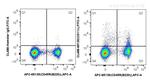 CD11c Antibody in Flow Cytometry (Flow)