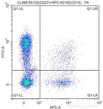 CD27 Antibody in Flow Cytometry (Flow)