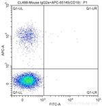 CD3 Antibody in Flow Cytometry (Flow)