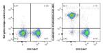 CD45R Antibody in Flow Cytometry (Flow)