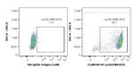 Ly-6G/Ly-6C (Gr-1) Antibody in Flow Cytometry (Flow)