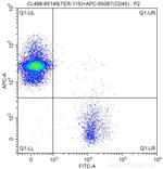 TER-119 Antibody in Flow Cytometry (Flow)
