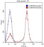 CD5 Antibody in Flow Cytometry (Flow)