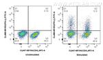 IFN-gamma Antibody in Flow Cytometry (Flow)