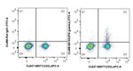 IFN gamma Antibody in Flow Cytometry (Flow)