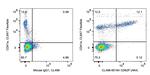CD62P Antibody in Flow Cytometry (Flow)