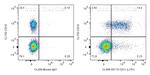 CD1c Antibody in Flow Cytometry (Flow)