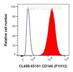 CD146 Antibody in Flow Cytometry (Flow)