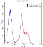 CD18 Antibody in Flow Cytometry (Flow)