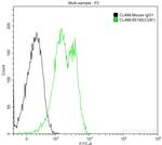 CD81 Antibody in Flow Cytometry (Flow)