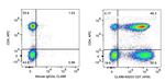 CD7 Antibody in Flow Cytometry (Flow)