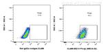 PLVAP Antibody in Flow Cytometry (Flow)