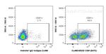 CD81 Antibody in Flow Cytometry (Flow)