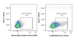 CD11b Antibody in Flow Cytometry (Flow)