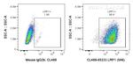 LRP1 Antibody in Flow Cytometry (Flow)