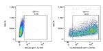 CD71 Antibody in Flow Cytometry (Flow)