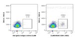 CD94 Antibody in Flow Cytometry (Flow)