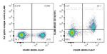 CD1d Antibody in Flow Cytometry (Flow)