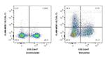 GL7 Antibody in Flow Cytometry (Flow)