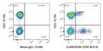 CD56 Antibody in Flow Cytometry (Flow)