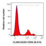 CD56 Antibody in Flow Cytometry (Flow)