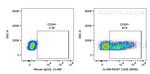 CD26 Antibody in Flow Cytometry (Flow)