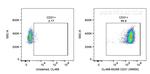 CD31 Antibody in Flow Cytometry (Flow)