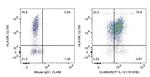 IL-12 Antibody in Flow Cytometry (Flow)