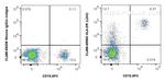 HLA-DR Antibody in Flow Cytometry (Flow)