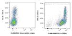 CD11a Antibody in Flow Cytometry (Flow)