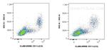 CD11c Antibody in Flow Cytometry (Flow)
