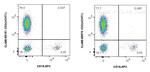 CD3 Antibody in Flow Cytometry (Flow)