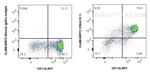 CD64 Antibody in Flow Cytometry (Flow)