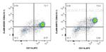 CD64 Antibody in Flow Cytometry (Flow)