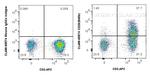 CD26 Antibody in Flow Cytometry (Flow)