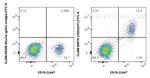 CD20 Antibody in Flow Cytometry (Flow)