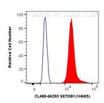 SETDB1 Antibody in Flow Cytometry (Flow)