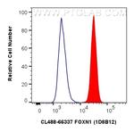 FOXN1 Antibody in Flow Cytometry (Flow)