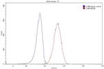 CD74 Antibody in Flow Cytometry (Flow)