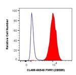 FMR1 Antibody in Flow Cytometry (Flow)