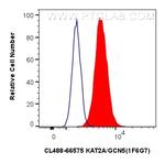 KAT2A/GCN5 Antibody in Flow Cytometry (Flow)