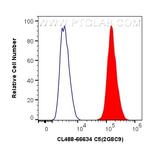 C5 Antibody in Flow Cytometry (Flow)