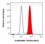 DDX54 Antibody in Flow Cytometry (Flow)