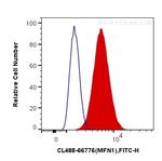 MFN1 Antibody in Flow Cytometry (Flow)
