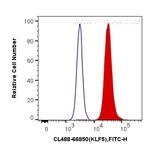 KLF5 Antibody in Flow Cytometry (Flow)