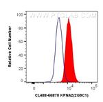 KPNA2 Antibody in Flow Cytometry (Flow)