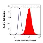 UPF1 Antibody in Flow Cytometry (Flow)